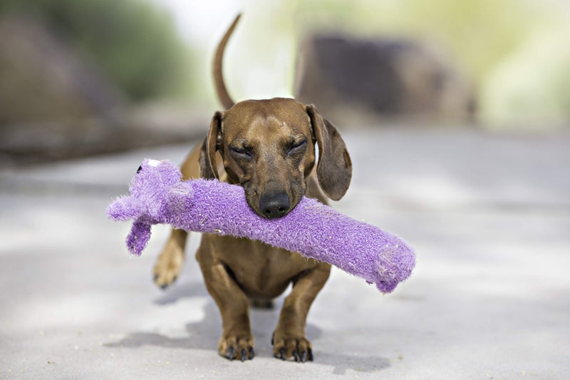 Multipet Loofa Dog 18" Plush Dog Toy, Colors May Vary (1 each) - Image 3