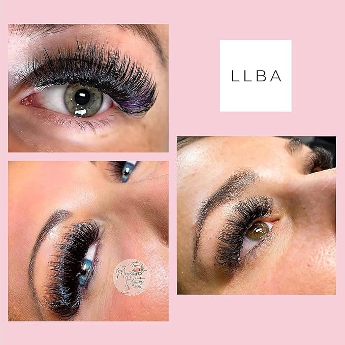 LLBA Promade Mix Fans Handmade Volume Eyelashes Multi Selections From 5D To 12D C CC D Curl Thickness 00301 mm 918mm Length Long Lasting Easy Application 8D005 D 91011mm