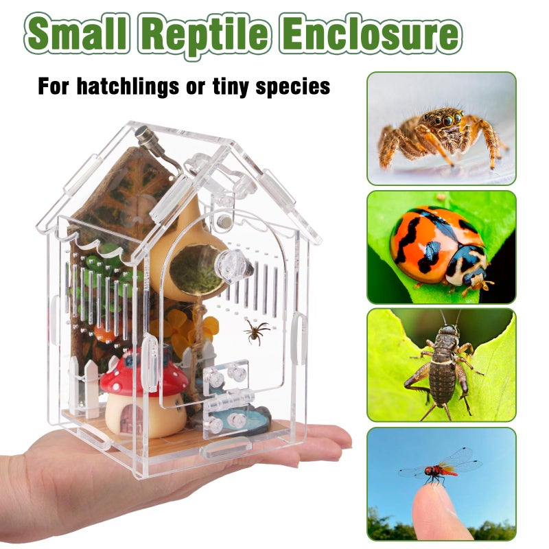 WEIKEJINA Jumping Spider Enclosure - Internal Dimensions 3.15"x3.15"x5.6" Acrylic Terrarium Kit for Tarantulas/Mantis/Reptiles with Magnetic Door, Ventilation & Easy Assembly - Image 5