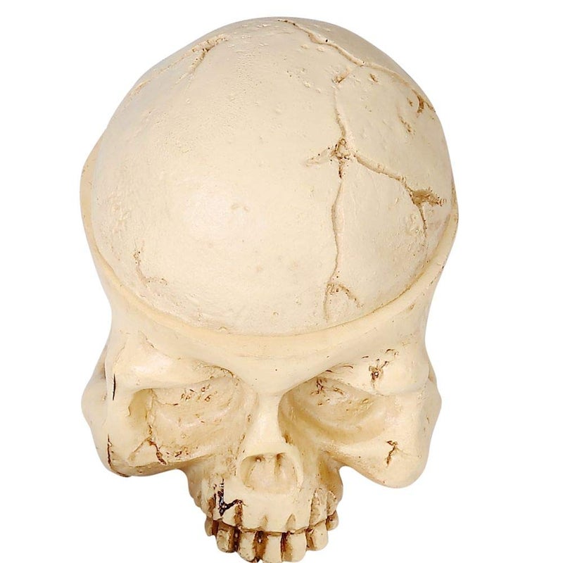 new star tattoo Tattoo Ink Cup Holder,New Star Tattoo 7 Holes Hard Skull Resin Tattoo Ink Cap Cup Holder Stand For Tattoo Supplies Permanent Makeup Tattoo Kit Tattoo Accessory - Image 5