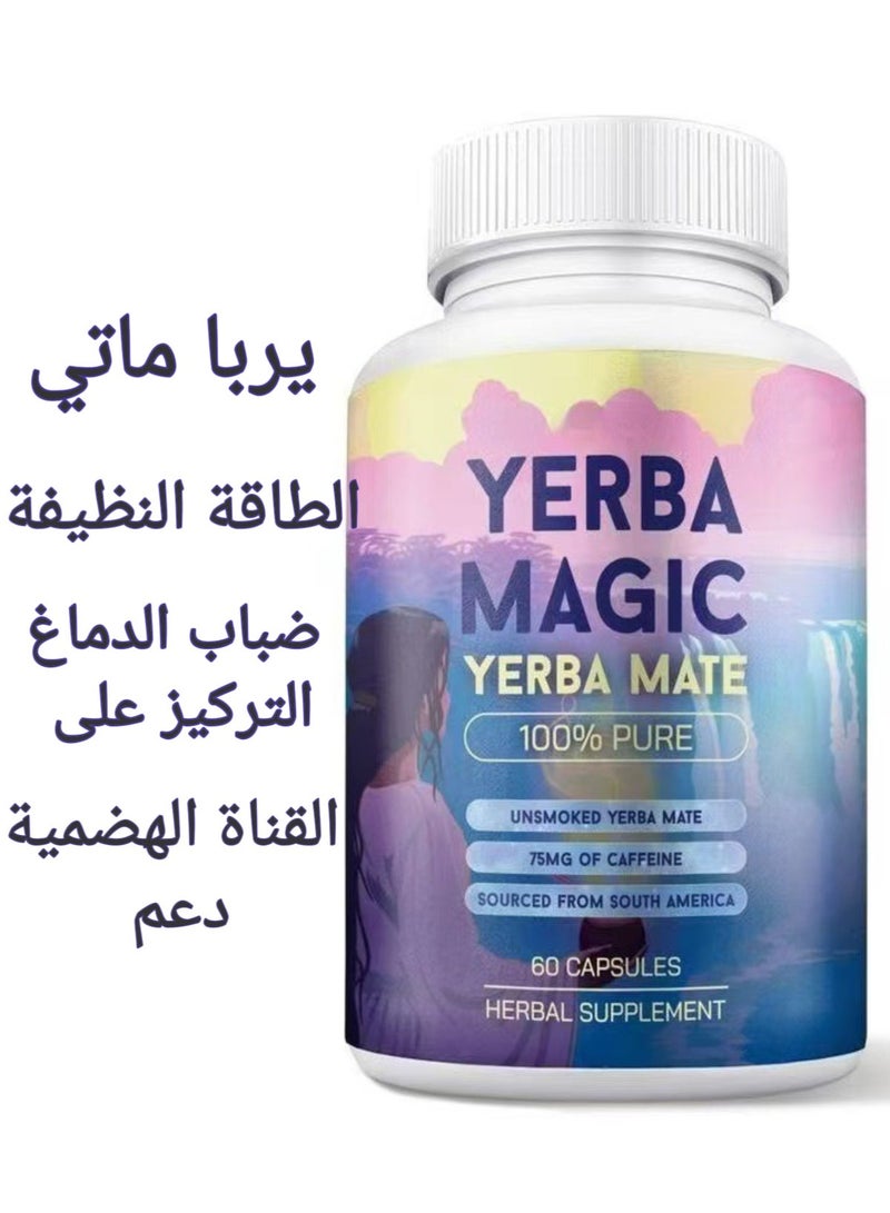 حول الدماغ كبسولات يربا ماتي النقية 100% – طاقة نظيفة، تركيز ضد ضباب الدماغ ودعم للجهاز الهضمي – 60 كبسولة نباتية - Image 1