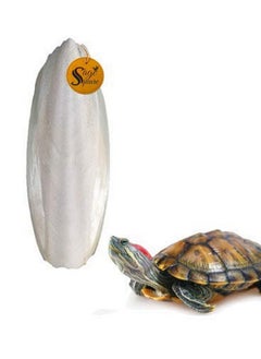 Natural High Calcium Source Cuttlebone Fish For Turtle (500Grm)