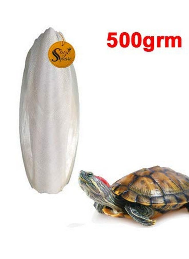 Sage Square - Natural High Calcium Source Cuttlebone Fish For Turtle (500Grm) - Image 1