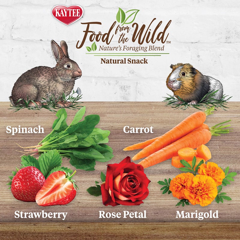Kaytee Food from The Wild Natural Snack for Pet Rabbits, Guinea Pigs And Other Small Animals, 1 Ounce - Image 2