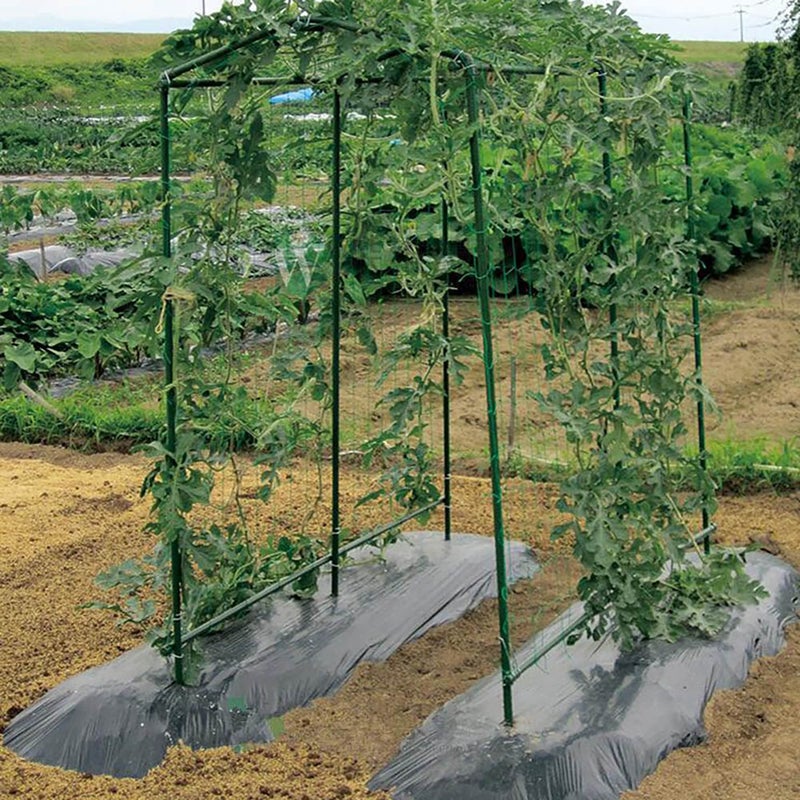 Xiny Tool Garden Stakes, 25 Pack Steel Plant Garden Tomato Stakes with Plastic Coat for Climbing Plants (25 Pack 58 Inch) - Image 4