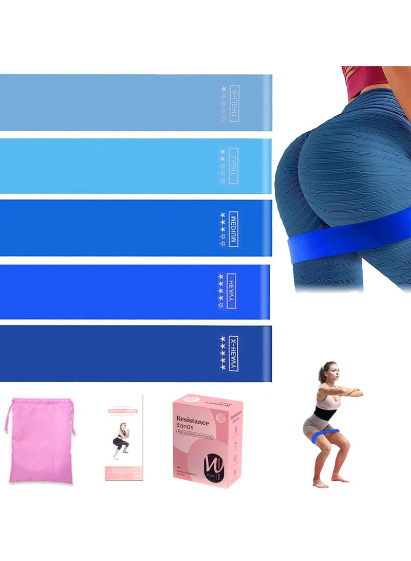 إيست تشويكس 5  مجموعة فرق المقاومة النسائية للكمبيوترات الشخصية - فرق اللياقة البدنية المطاطية المضادة للانزلاق للتدريب والبيلاتيس واليوغا وتمارين العلاج البدني والتمدد والشكل مع حقيبة الحمل ودليل التعليمات（أزرق） - Image 1