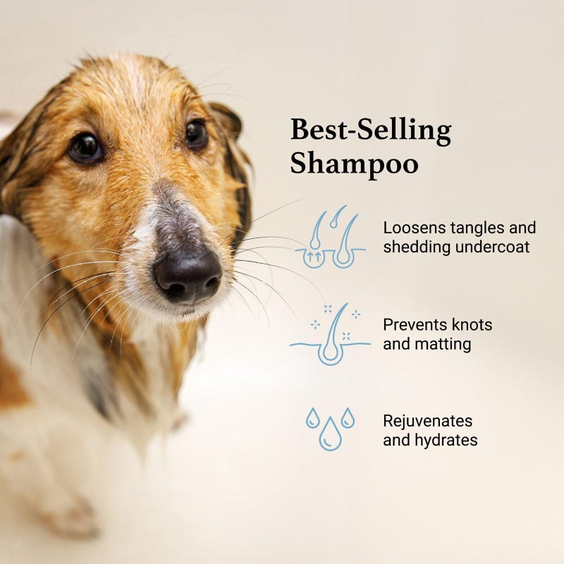 iGroom Deshedding & Detangling Dog Shampoo, Luxury Pet Beauty Care, Loosen Tangles + Unwanted Undercoat, Adds Shine + Volume, Made in USA (16 OZ) - Image 3