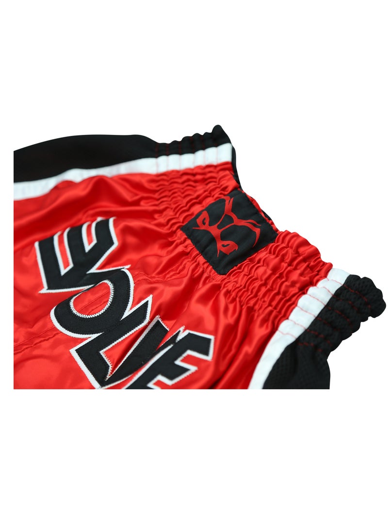 Evolve Muay Thai Shorts | Boxing Grappling Shorts for MMA Kickboxing Muay Thai BJJ for Men and Women - Image 3