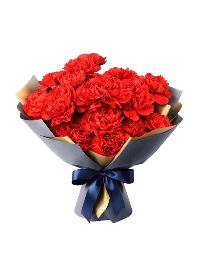 Carnations, Don Pedro - 20 stems - 70cm, Colombia