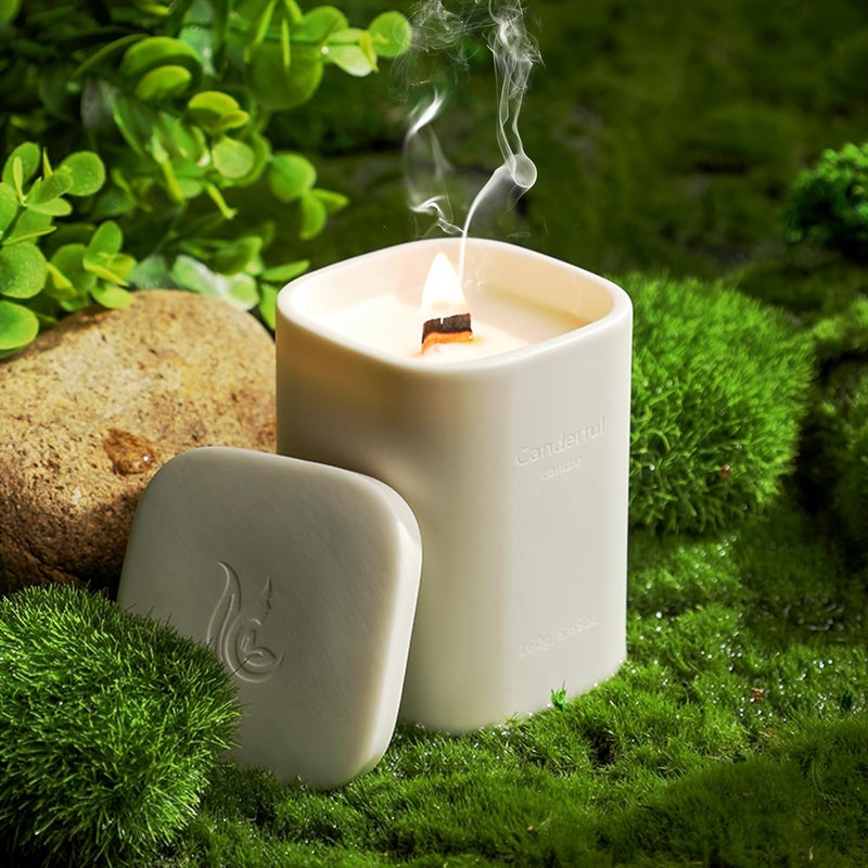 Absorbia ABSORBIA Sleeping Sandalwood Bliss Premium Scented Candle with 6 Perfume Concentrates Essential Oil Soybean Wax 180g 36Hour Burn Time Ceramic Cup 66x65x92cm - Image 2