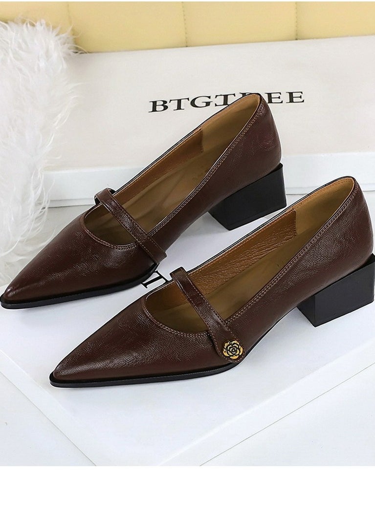 BIGTREE Mary Jane Shoes Low Chunky Heels Closed Pointed Toe Shoes With Ankle Strap Dark Brown  - Image 1