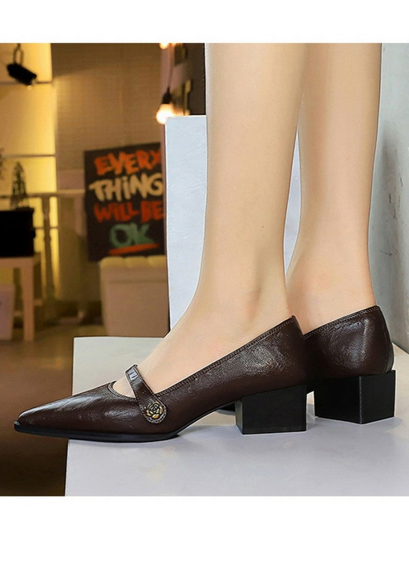 BIGTREE Mary Jane Shoes Low Chunky Heels Closed Pointed Toe Shoes With Ankle Strap Dark Brown  - Image 5