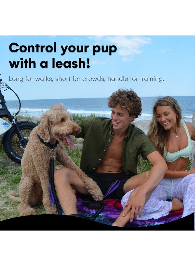 بلاك رينو مقود كلاب بلاك راينو عالي التحمل للكلاب المتوسطة والكبيرة - مقود مزدوج بطول 6 أقدام مع مقابض مبطنة للتحكم في حركة المرور وحقيبة - عاكس ومتين ومقاوم للعوامل الجوية (بورجوندي) - Image 2