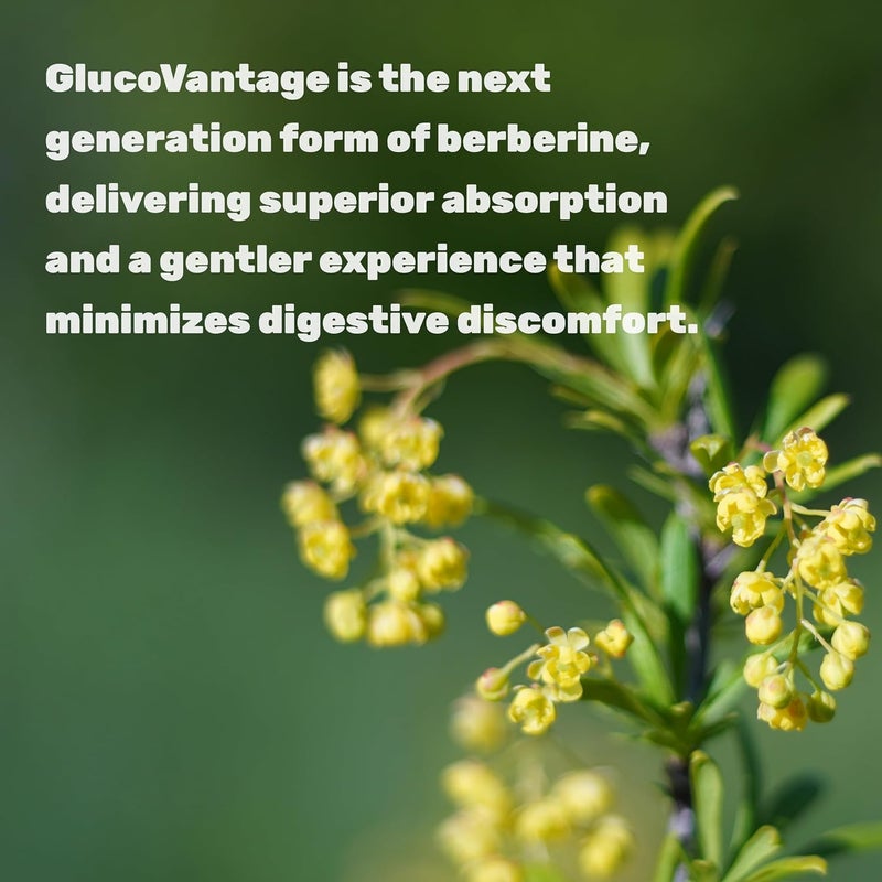 DEAL SUPPLEMENT ديهدروبيربيرين 100 ملغ لكل حصة 120 كبسولة نباتية 5 مرات أكثر توافراً حيوياً من بيربيرين HCL مكمل صحة القلب تركيبة غلوكوفانتج نباتي غير معدل وراثياً - Image 4