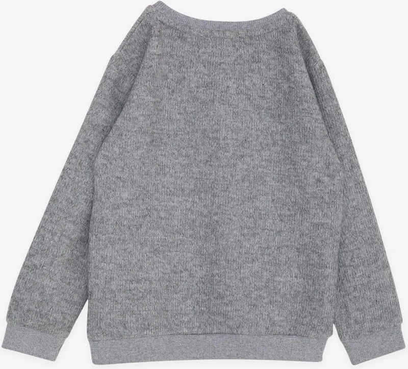 Breeze Girls & Boys Boy Sweatshirt Basic 2-5 Years, Gray Melange