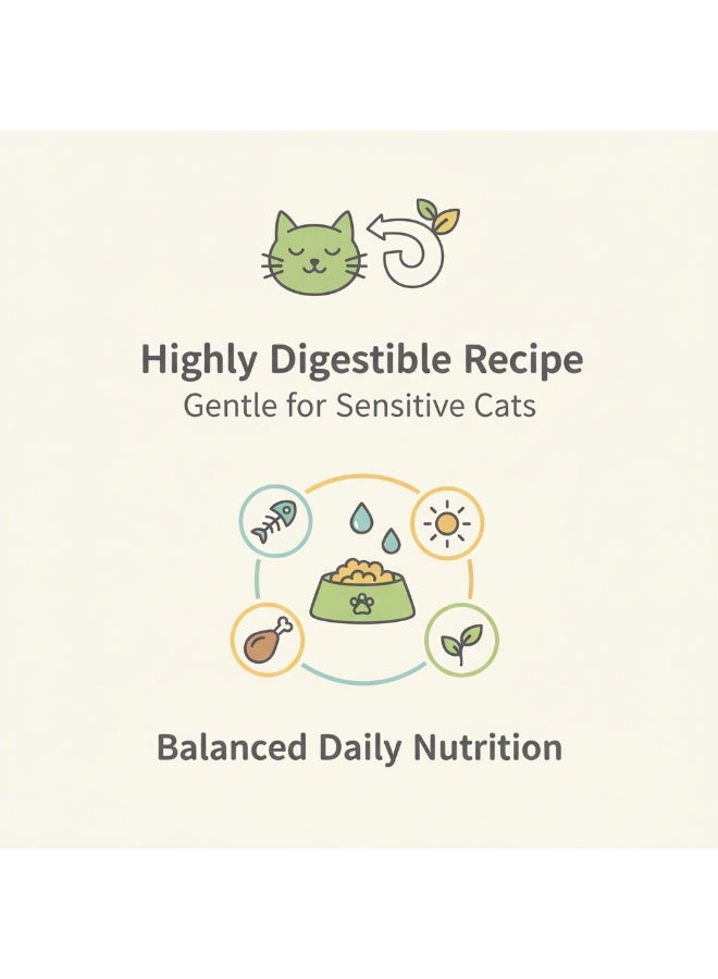 Winner Plus DeliCat Cat Food | Tasty Feed | Premium German Formula | Growth & Immunity Support | Adult Cats | 2 Kg - Image 3