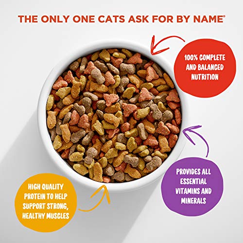 Meow Mix Original Choice Dry Cat Food, 18 Ounce (Pack of 6) - Image 2