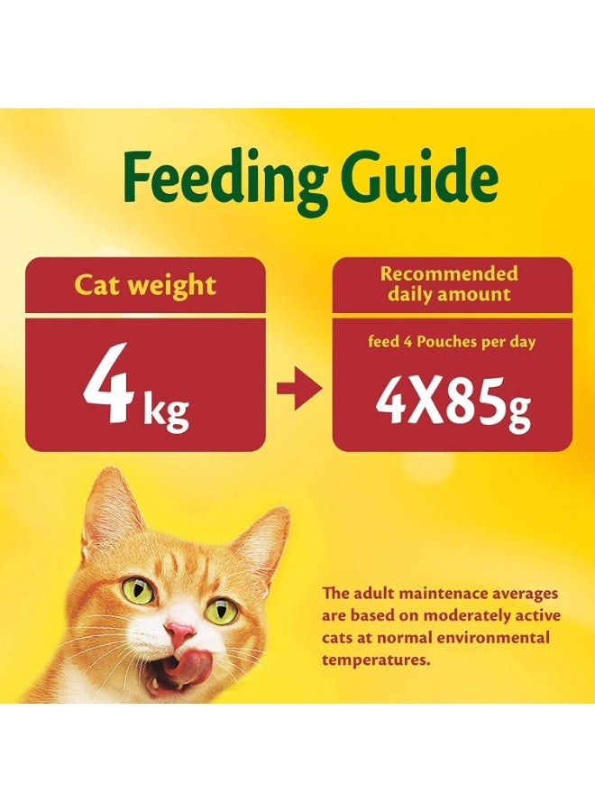 Friskies Salmon Chunks in Gravy Wet Cat Food, 85g - Image 5