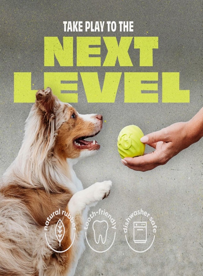 Benebone 2-Pack Rubber Ball - Image 4