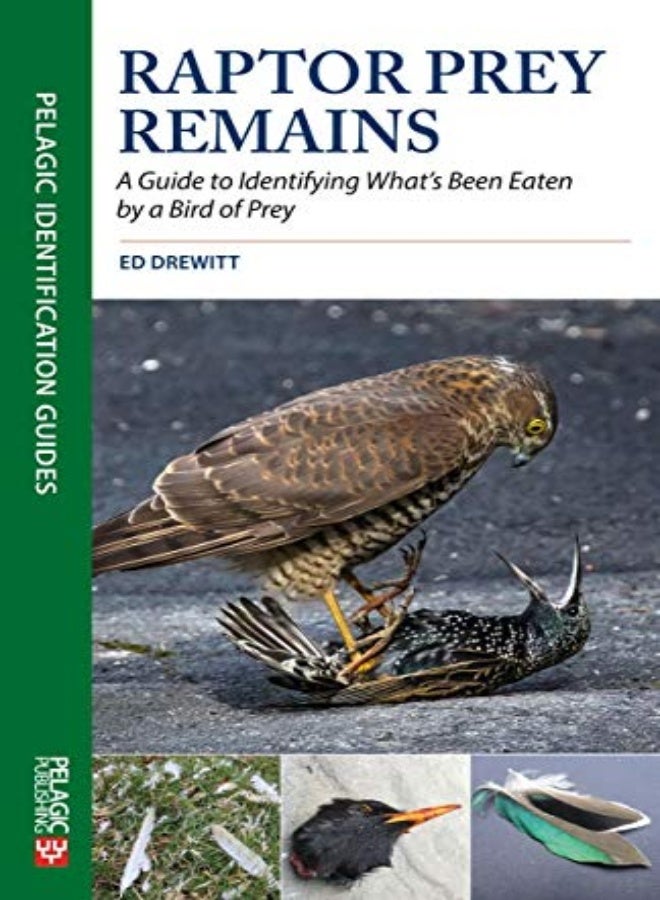Raptor Prey Remains 