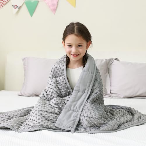 Mr. Sandman Weighted Blanket 7LBS 41 x 60 Inches, Minky Dots Heavy Blanket with Glass Beads, Soft and Cooling for School and Home, Grey - Image 1