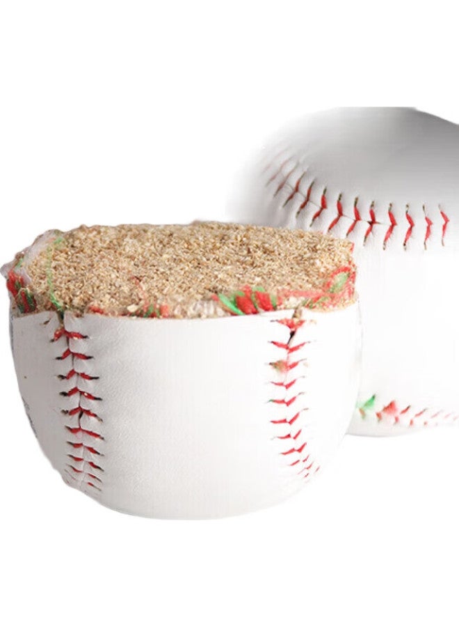 INVUI 10-Inch Soft And Hard Solid Baseballs For Primary And Secondary School Students' Training And Exams, 2-Pack - Image 1