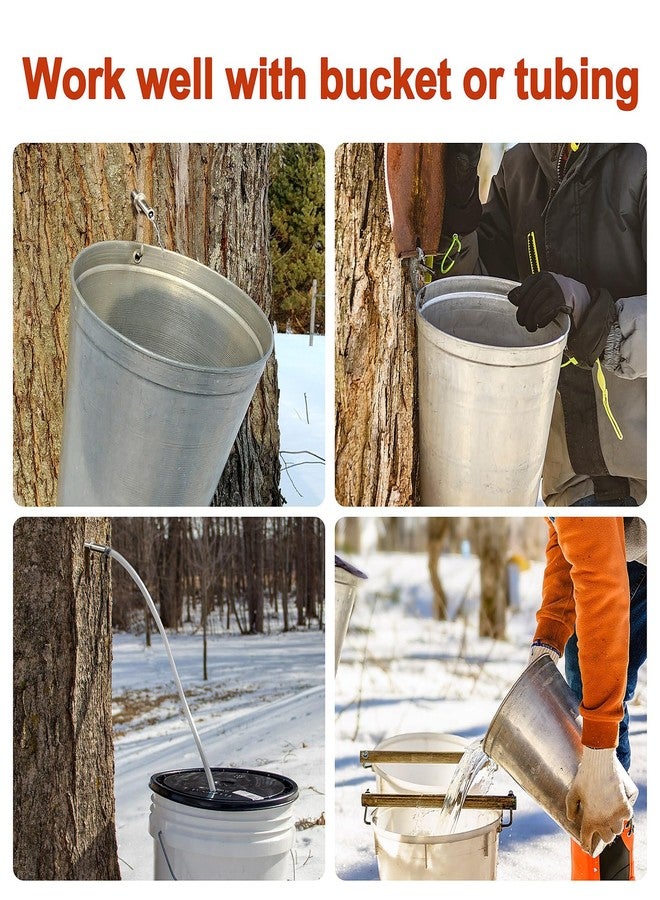 Codesteel Stainless Steel Maple Syrup Tapping Kit, Maple Tree Taps, Spiles for Tapping Trees, (6) Spiles and Hooks with (2) Spile Cleaning Brushes - Image 5