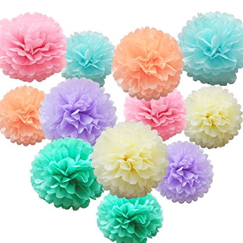 iShyan 12 Pcs Assorted Rainbow Colors Tissue Paper Pom Poms Flower Balls for Birthday Wedding Party Baby Shower Decorations - Image 1