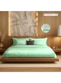MULBERRY LIVING 160 X 200 Cm