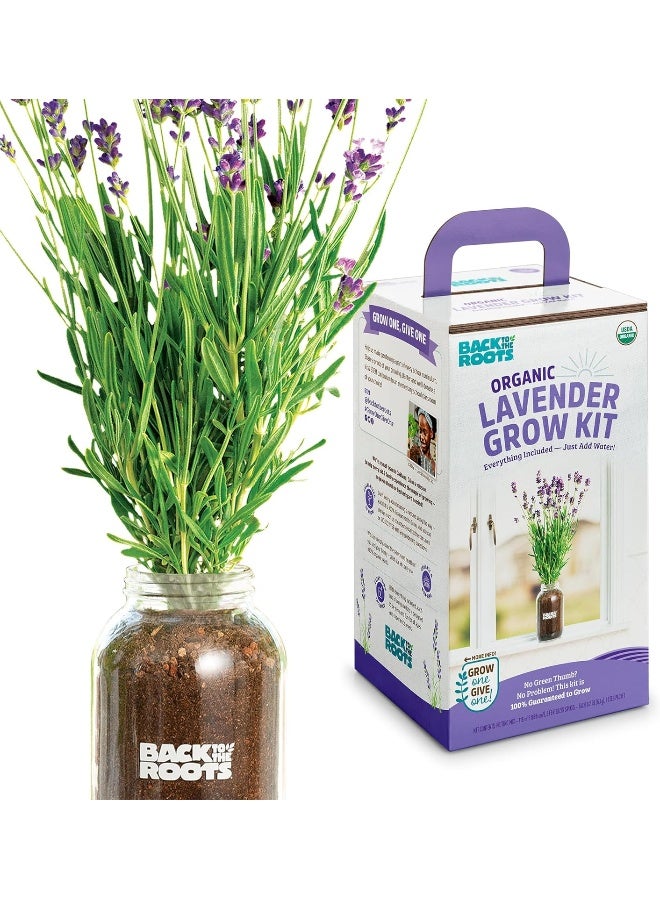 Back to the Roots Lavender Organic Windowsill Planter Kit - Grows Year Round, Includes Everything Needed for Planting  - Image 2