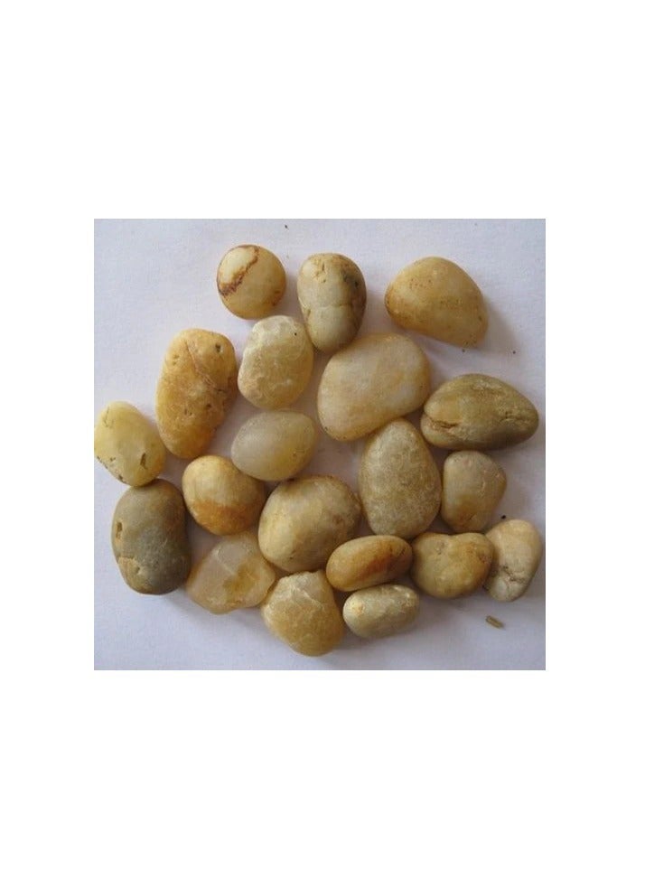 vsell24 2-4 cm Large Yellow River Rocks: Natural Pebbles for Landscaping, High Polished Decorative Stones for Indoor Plants 3KG  - Image 2