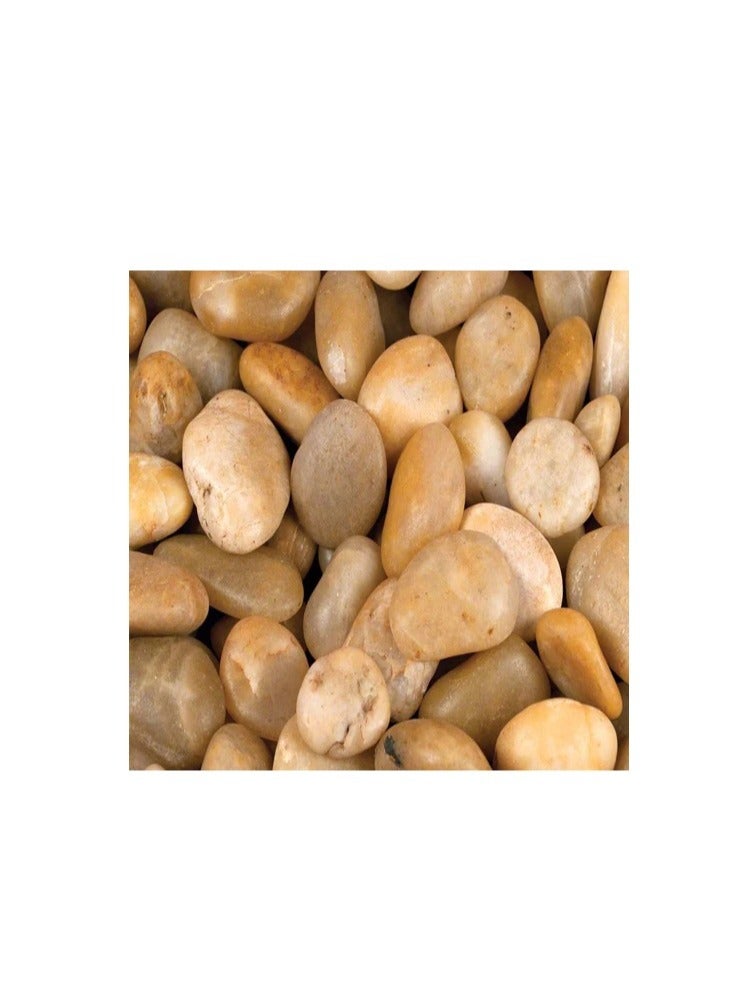 vsell24 2-4 cm Large Yellow River Rocks: Natural Pebbles for Landscaping, High Polished Decorative Stones for Indoor Plants 3KG  - Image 3