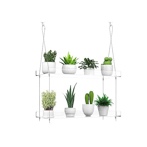 ZerzSemp 2-Tier Hanging Clear Plant Shelves for Windows, Acrylic Window Wall Plant Stand Shelf for Kitchen Indoor Gardens, Flower,Herb, Seedling Organization, and Pots Display, 16 Inch per Tier - Image 1