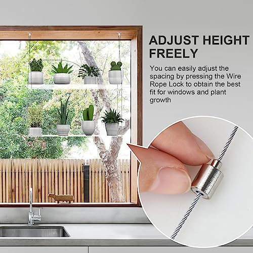ZerzSemp 2-Tier Hanging Clear Plant Shelves for Windows, Acrylic Window Wall Plant Stand Shelf for Kitchen Indoor Gardens, Flower,Herb, Seedling Organization, and Pots Display, 16 Inch per Tier - Image 4