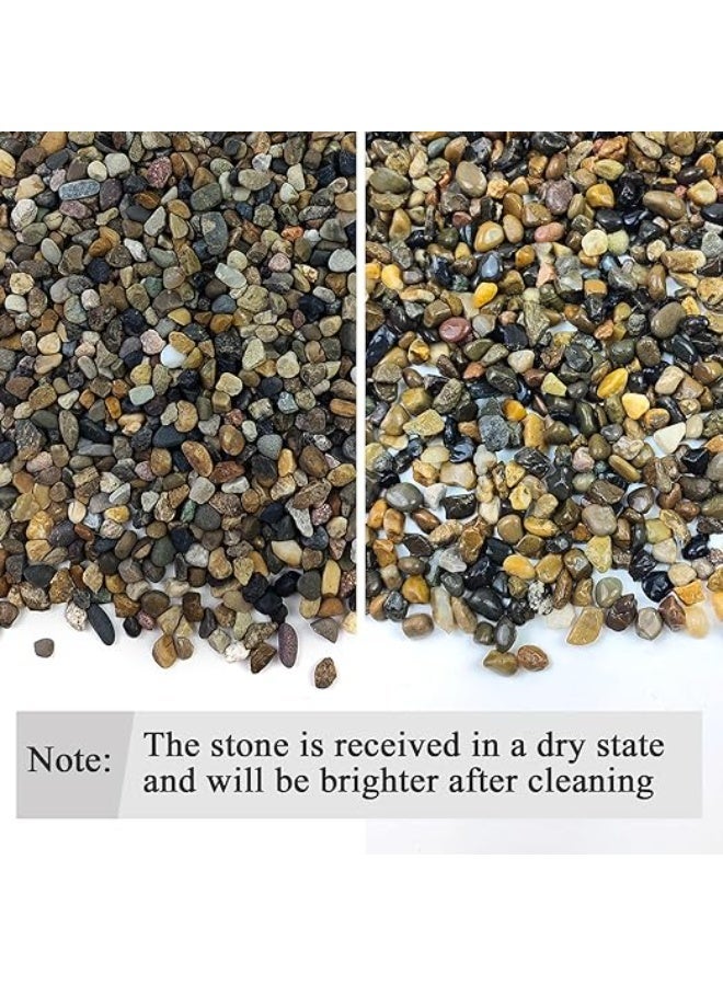 هوانكسين هوم حصاة الأكواريوم، حصى نباتي داخلي، حصى ناعمة بحجم 1/4 بوصة (حوالي 0.6 سم) صخر نهري زخرفي، مناسب لتغطية تربة الأكواريوم للنباتات العصارية في الفازات، وحصى حوض السمك والزينة الخارجية للمساحات الطبيعية (500 جرام) - Image 2