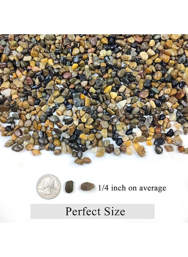 هوانكسين هوم حصاة الأكواريوم، حصى نباتي داخلي، حصى ناعمة بحجم 1/4 بوصة (حوالي 0.6 سم) صخر نهري زخرفي، مناسب لتغطية تربة الأكواريوم للنباتات العصارية في الفازات، وحصى حوض السمك والزينة الخارجية للمساحات الطبيعية (500 جرام) - Image 1