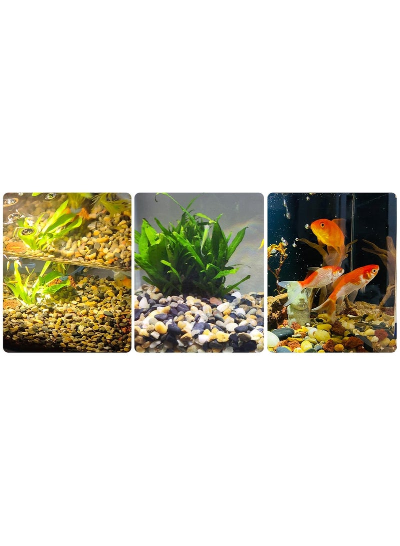 هوانكسين هوم حصاة الأكواريوم، حصى نباتي داخلي، حصى ناعمة بحجم 1/4 بوصة (حوالي 0.6 سم) صخر نهري زخرفي، مناسب لتغطية تربة الأكواريوم للنباتات العصارية في الفازات، وحصى حوض السمك والزينة الخارجية للمساحات الطبيعية (500 جرام) - Image 5