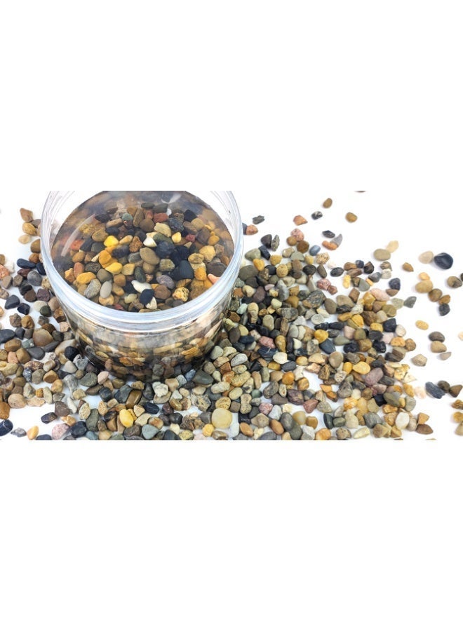 هوانكسين هوم حصاة الأكواريوم، حصى نباتي داخلي، حصى ناعمة بحجم 1/4 بوصة (حوالي 0.6 سم) صخر نهري زخرفي، مناسب لتغطية تربة الأكواريوم للنباتات العصارية في الفازات، وحصى حوض السمك والزينة الخارجية للمساحات الطبيعية (500 جرام) - Image 4