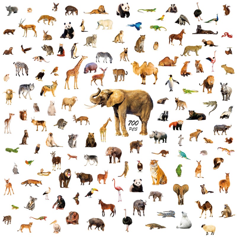 700 PCS Wild Animal Stickers 100 Realistic Animals Cute Zoo Animal Stickers WaterTear Resistant with No Residue Washable Decals for Teachers Kids Students Water Bottle Laptop Scrapbook