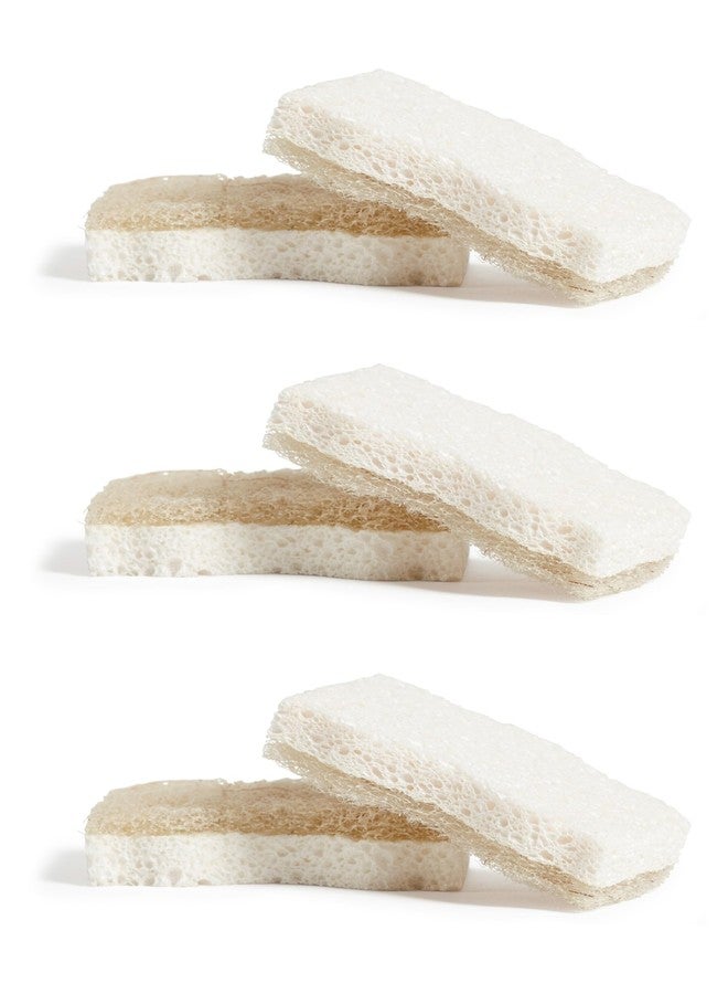 Grove Co. Sponges, Natural Coconut Scrubber Kitchen Sponge, Dual-Sided, Non-Scratch, Super Absorbent Plant-Based Cellulose with Coconut Husk Scourer, Household Cleaning Essentials, 6 Pack - Image 1