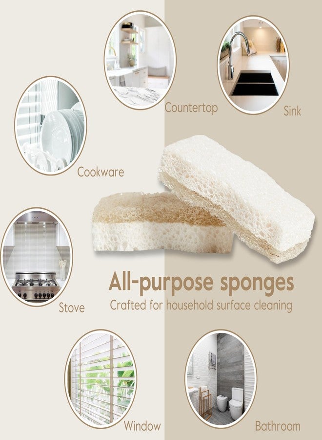 Grove Co. Sponges, Natural Coconut Scrubber Kitchen Sponge, Dual-Sided, Non-Scratch, Super Absorbent Plant-Based Cellulose with Coconut Husk Scourer, Household Cleaning Essentials, 6 Pack - Image 3