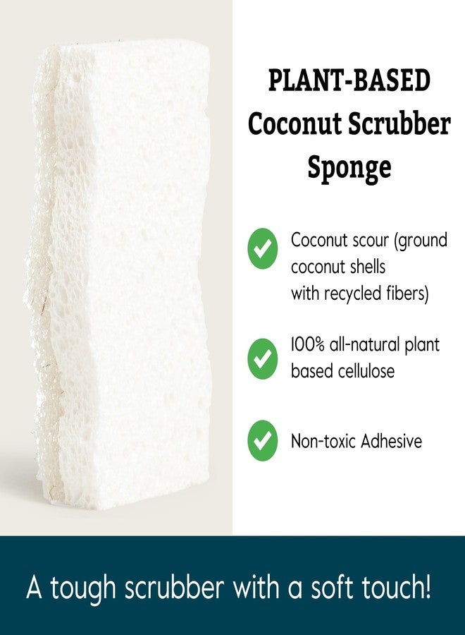 Grove Co. Sponges, Natural Coconut Scrubber Kitchen Sponge, Dual-Sided, Non-Scratch, Super Absorbent Plant-Based Cellulose with Coconut Husk Scourer, Household Cleaning Essentials, 6 Pack - Image 2
