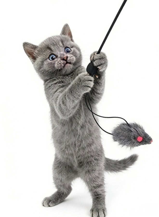 1 Pack Interactive Cat Feather Toys Retractable Teaser Toy Hanging Interactive Toys for Indoor Cats Kitten Play Chase Exercise Kitten Mental Exercise Toys Grey Mouse - Image 3