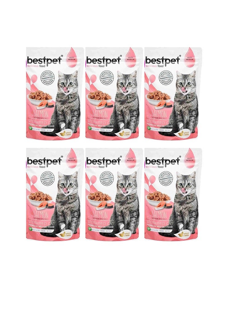 بيست بت بست بت طعام رطب للقطط بنكهة السلمون عرض 6 × 85 جم