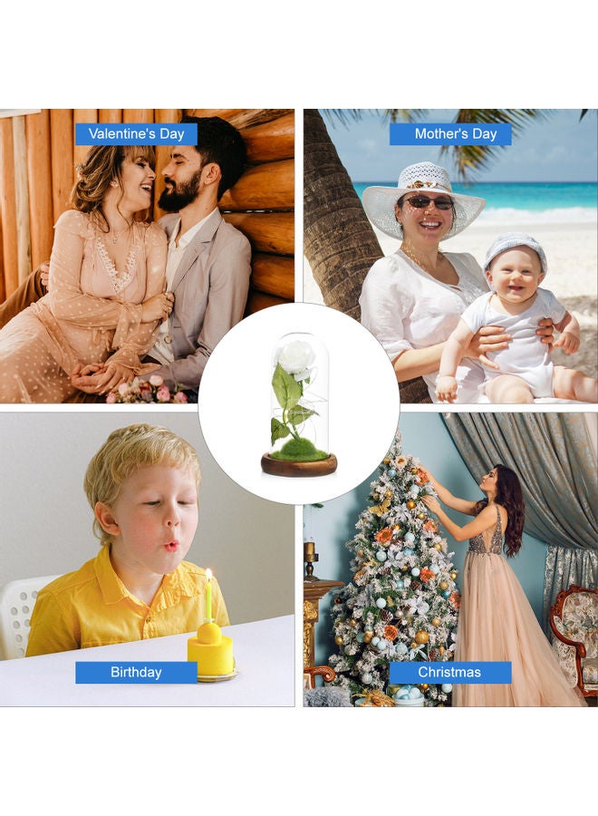 NIBEMINENT Flower With LED Lights Glass Dome On Wood Base Forever Artificial Rose blue 26.50x13.00x13.00cm - Image 4