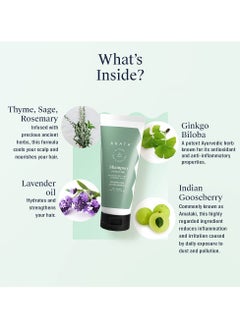 ARATA Arata Natural Hydrating Hair Shampoo (75 ml) With Ginkgo Ginger and Indian Gooseberry for Women and Men  - Image 2