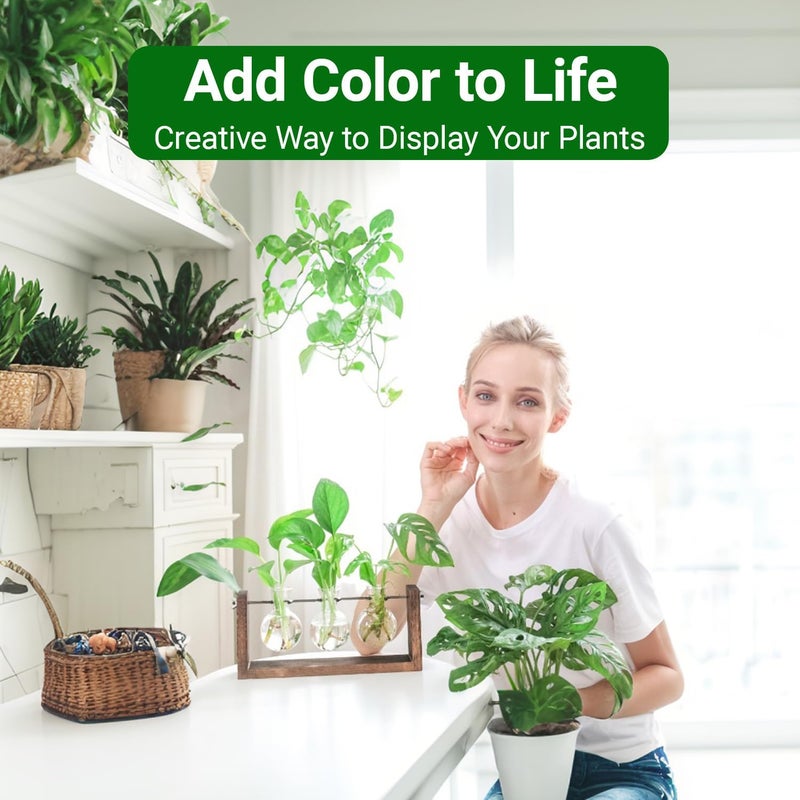 IVOLADOR I Propagation Station, Plants Terrarium, Plants Lover Gifts for Women,Plant Cutting Holder Home décor,Gifts for Women,House Warming New Home-3 Bulbs-Mounted - Image 2