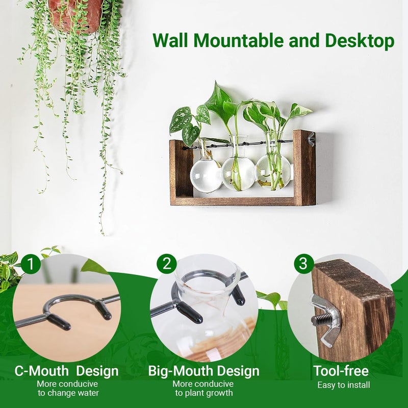 IVOLADOR I Propagation Station, Plants Terrarium, Plants Lover Gifts for Women,Plant Cutting Holder Home décor,Gifts for Women,House Warming New Home-3 Bulbs-Mounted - Image 3