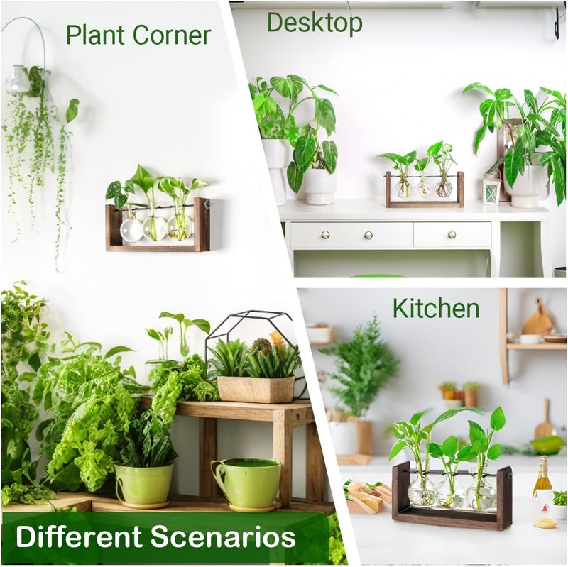 IVOLADOR I Propagation Station, Plants Terrarium, Plants Lover Gifts for Women,Plant Cutting Holder Home décor,Gifts for Women,House Warming New Home-3 Bulbs-Mounted - Image 5