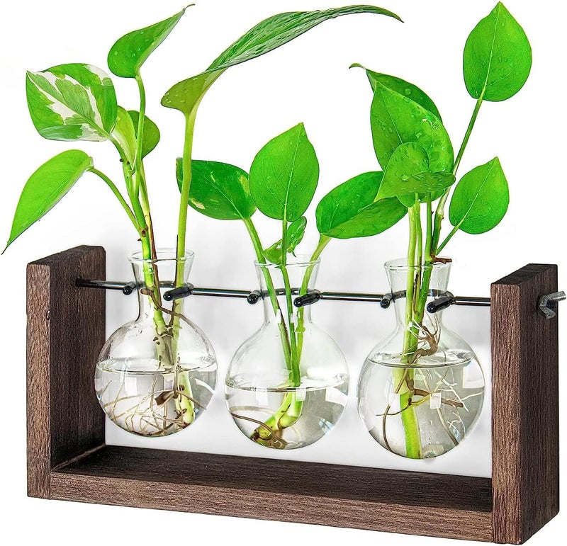 IVOLADOR I Propagation Station, Plants Terrarium, Plants Lover Gifts for Women,Plant Cutting Holder Home décor,Gifts for Women,House Warming New Home-3 Bulbs-Mounted - Image 1